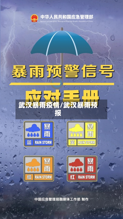 武汉暴雨疫情/武汉暴雨预报-第1张图片