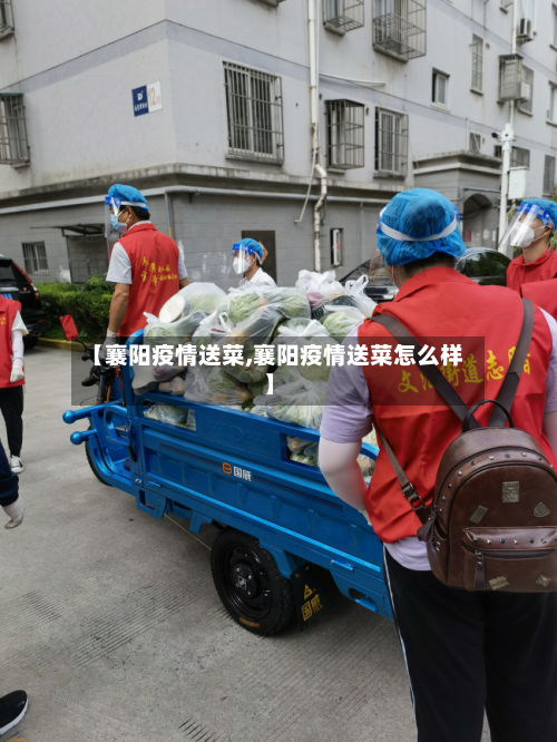 【襄阳疫情送菜,襄阳疫情送菜怎么样】-第2张图片
