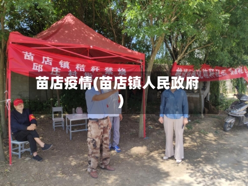 苗店疫情(苗店镇人民政府)-第2张图片