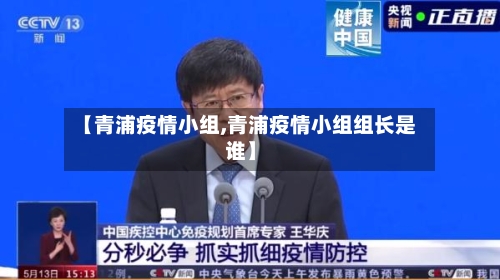 【青浦疫情小组,青浦疫情小组组长是谁】-第2张图片