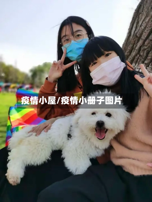 疫情小屋/疫情小册子图片-第1张图片