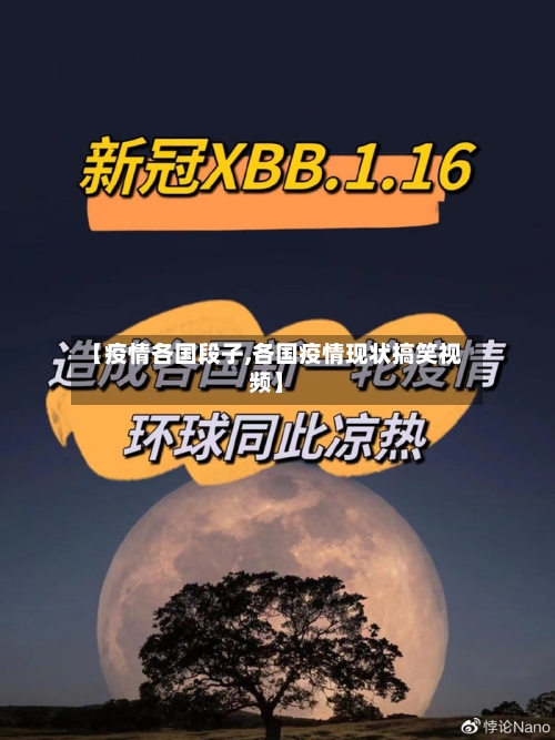 【疫情各国段子,各国疫情现状搞笑视频】-第1张图片