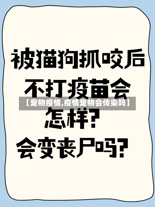 【宠物疫情,疫情宠物会传染吗】-第2张图片