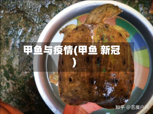 甲鱼与疫情(甲鱼 新冠)-第3张图片