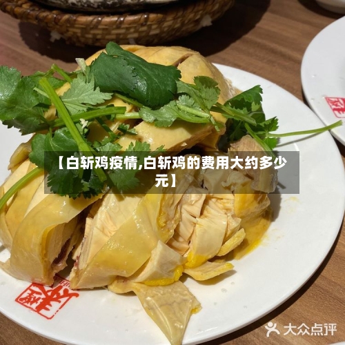 【白斩鸡疫情,白斩鸡的费用大约多少元】-第1张图片