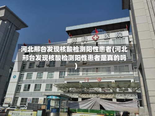 河北邢台发现核酸检测阳性患者(河北邢台发现核酸检测阳性患者是真的吗)-第1张图片