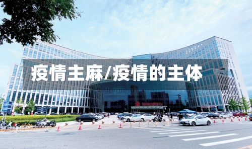 疫情主麻/疫情的主体-第2张图片