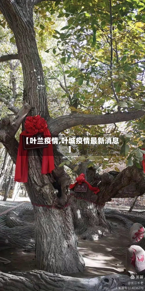 【叶兰疫情,叶城疫情最新消息】-第2张图片