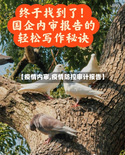 【疫情内审,疫情防控审计报告】-第3张图片