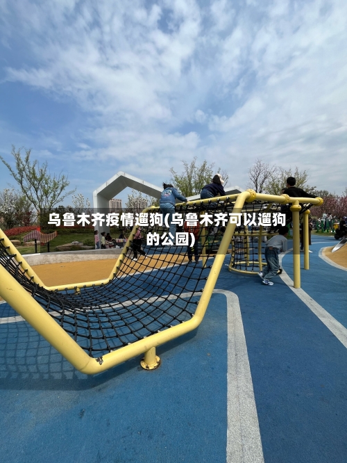 乌鲁木齐疫情遛狗(乌鲁木齐可以遛狗的公园)-第2张图片