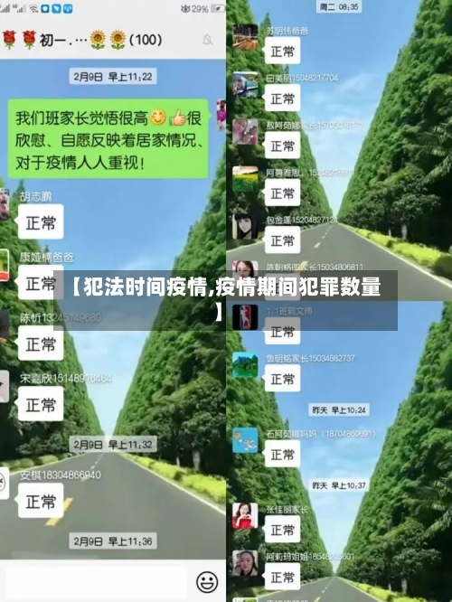 【犯法时间疫情,疫情期间犯罪数量】-第2张图片