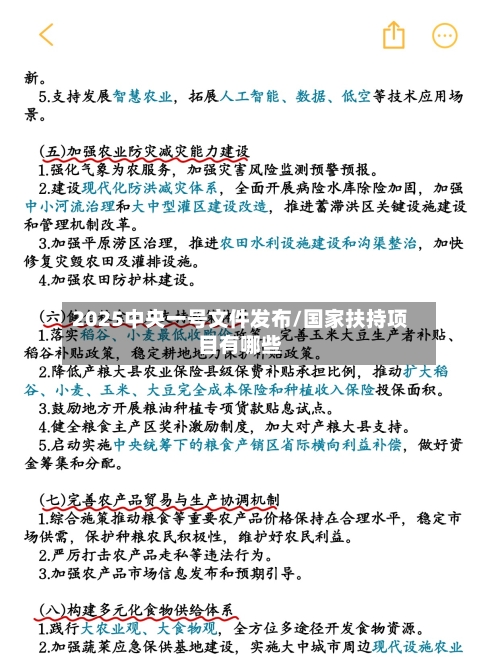 2025中央一号文件发布/国家扶持项目有哪些-第2张图片