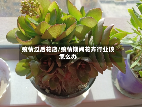 疫情过后花店/疫情期间花卉行业该怎么办-第3张图片