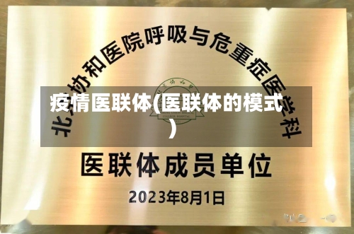 疫情医联体(医联体的模式)-第2张图片