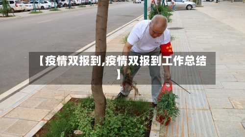 【疫情双报到,疫情双报到工作总结】-第1张图片