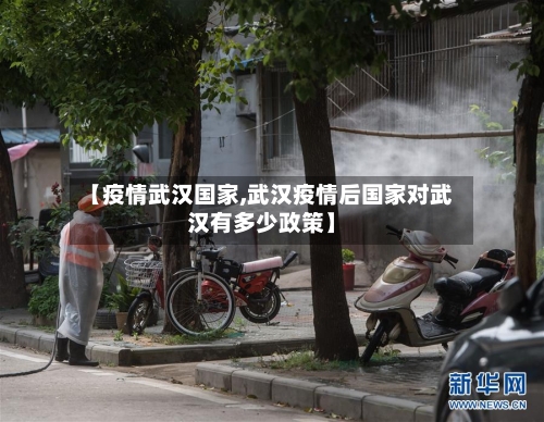 【疫情武汉国家,武汉疫情后国家对武汉有多少政策】-第3张图片