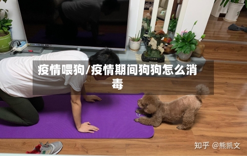 疫情喂狗/疫情期间狗狗怎么消毒-第1张图片