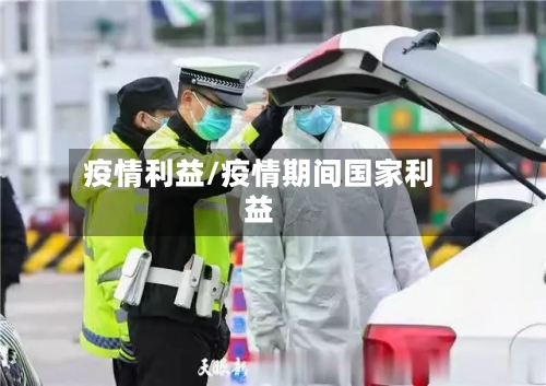 疫情利益/疫情期间国家利益-第2张图片