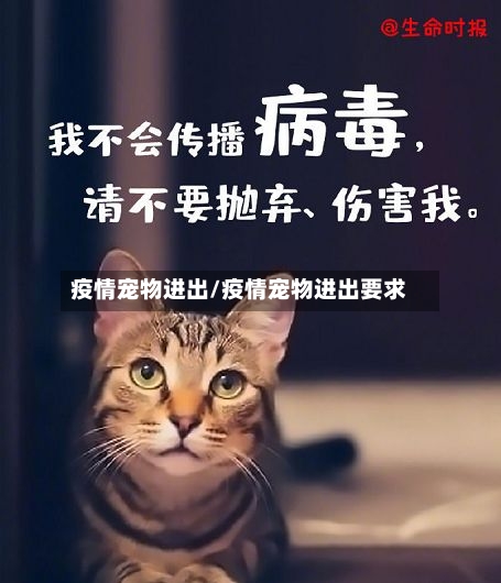疫情宠物进出/疫情宠物进出要求-第1张图片