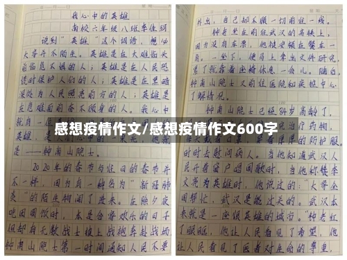 感想疫情作文/感想疫情作文600字-第2张图片