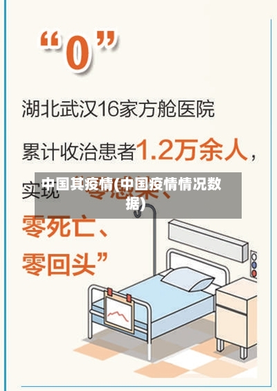 中国其疫情(中国疫情情况数据)-第1张图片