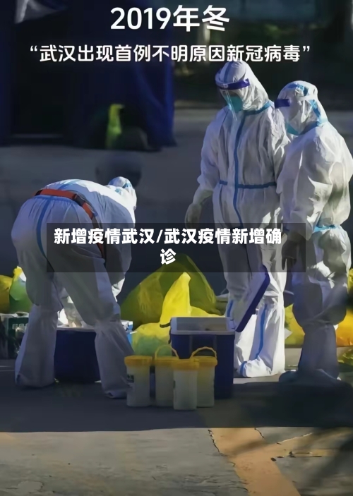 新增疫情武汉/武汉疫情新增确诊-第1张图片