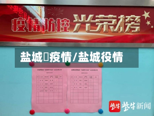 盐城巿疫情/盐城役情-第3张图片