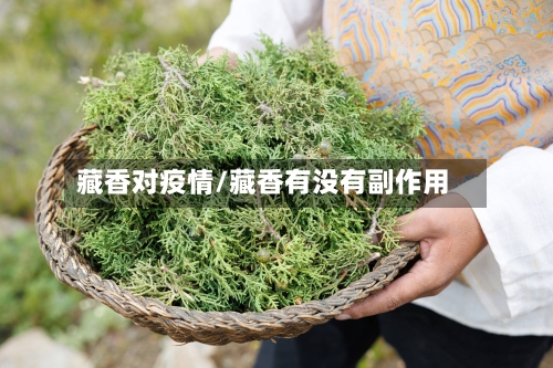 藏香对疫情/藏香有没有副作用-第2张图片