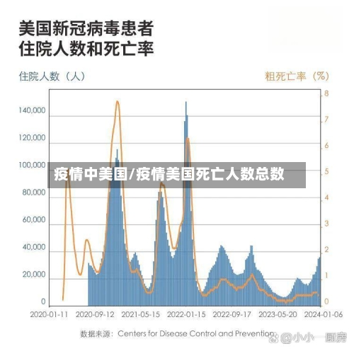 疫情中美国/疫情美国死亡人数总数-第3张图片