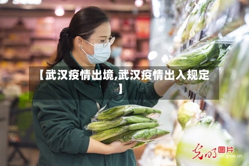 【武汉疫情出境,武汉疫情出入规定】-第1张图片