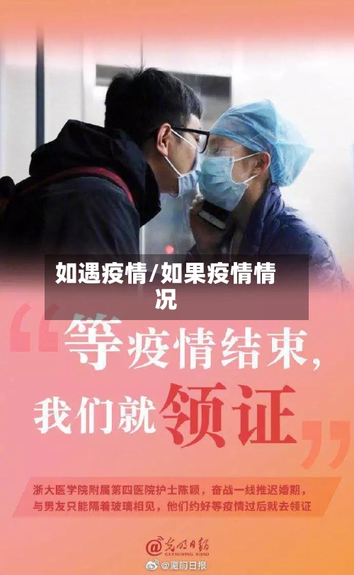 如遇疫情/如果疫情情况-第3张图片