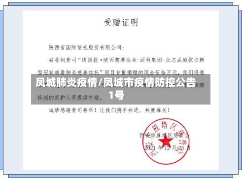 凤城肺炎疫情/凤城市疫情防控公告1号-第3张图片