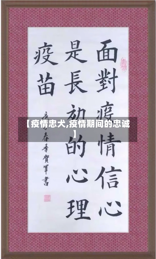 【疫情忠犬,疫情期间的忠诚】-第1张图片