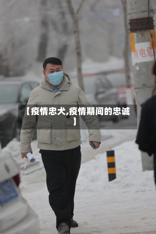 【疫情忠犬,疫情期间的忠诚】-第3张图片