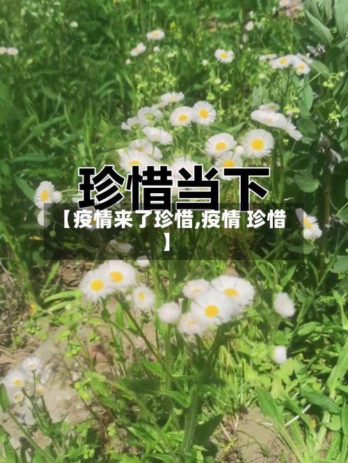 【疫情来了珍惜,疫情 珍惜】-第3张图片