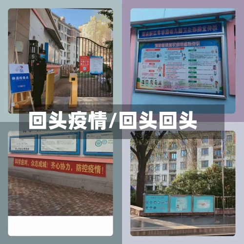 回头疫情/回头回头-第2张图片