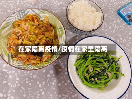 在家隔离疫情/疫情在家里隔离-第1张图片