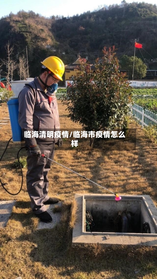 临海清明疫情/临海市疫情怎么样-第1张图片
