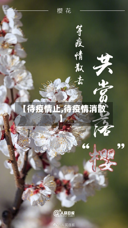 【待疫情止,待疫情消散】-第3张图片