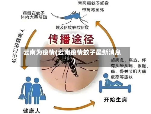 云南为疫情(云南疫情蚊子最新消息)-第2张图片