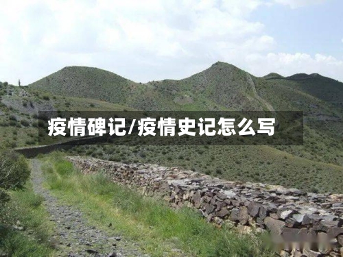 疫情碑记/疫情史记怎么写-第2张图片