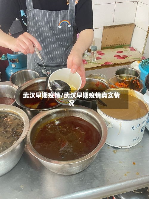 武汉早期疫情/武汉早期疫情真实情况-第3张图片