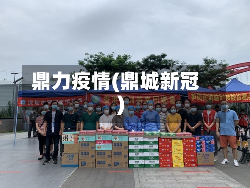 鼎力疫情(鼎城新冠)-第1张图片