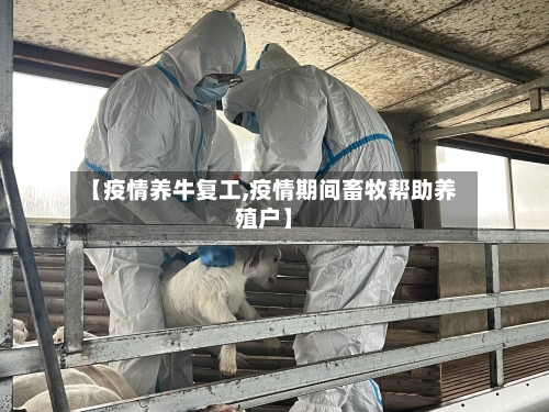 【疫情养牛复工,疫情期间畜牧帮助养殖户】-第1张图片