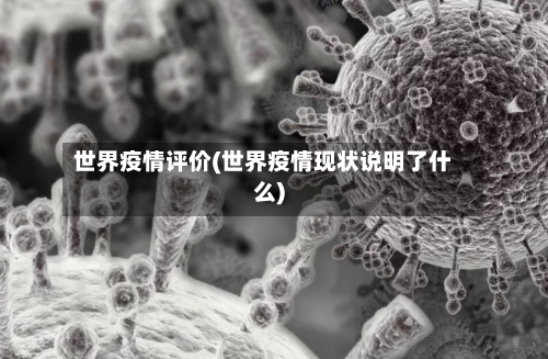 世界疫情评价(世界疫情现状说明了什么)-第3张图片