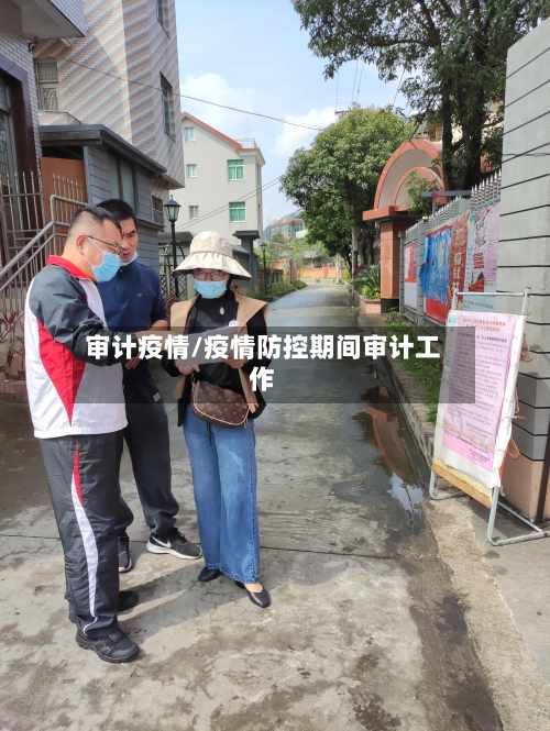 审计疫情/疫情防控期间审计工作-第1张图片