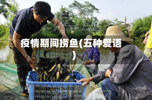 疫情期间捞鱼(五种爱语)-第1张图片