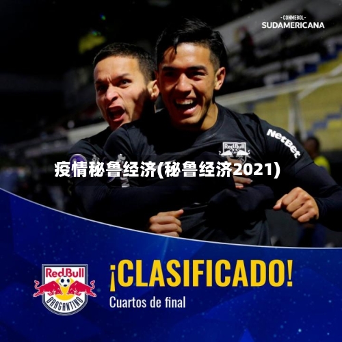 疫情秘鲁经济(秘鲁经济2021)-第3张图片