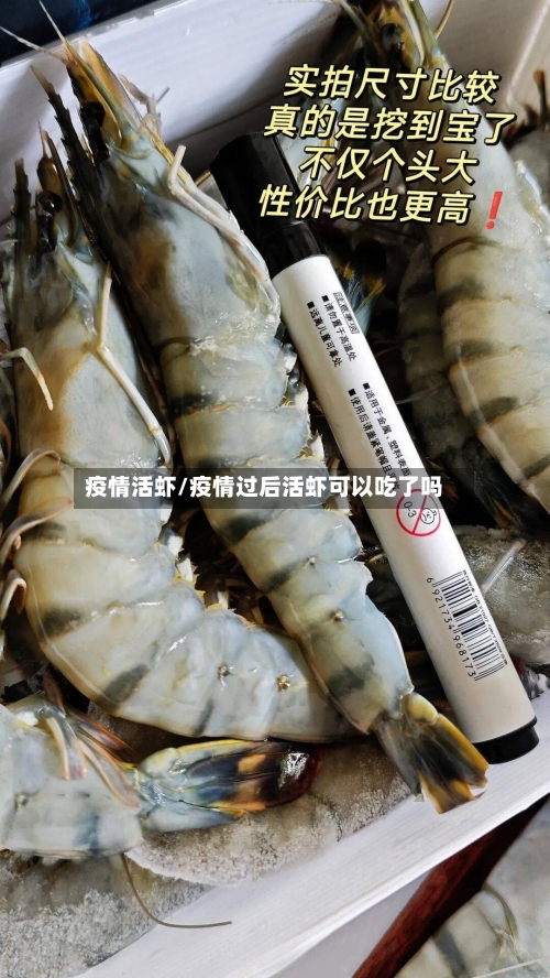 疫情活虾/疫情过后活虾可以吃了吗-第1张图片