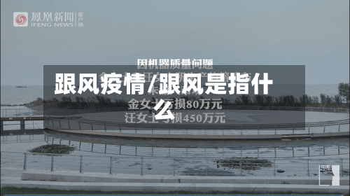 跟风疫情/跟风是指什么-第1张图片